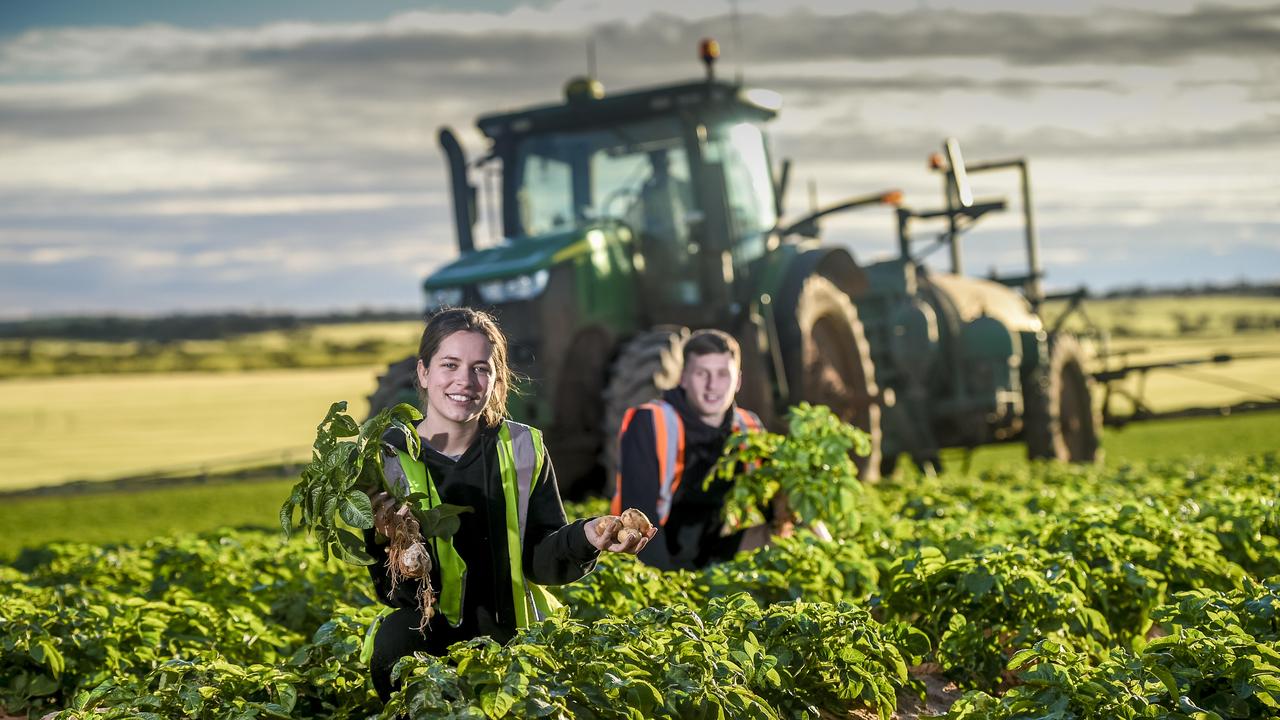 Backpackers in ag facing strict new coronavirus rules