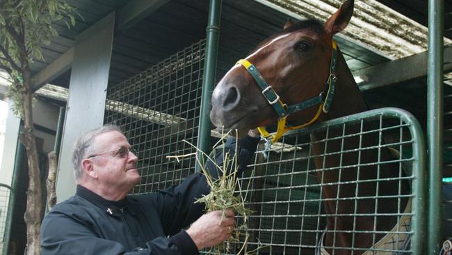 Brother Dan Stafford with Bart Cummings’ horse Frightening at Saintly Lodge in Flemington in 2014. Picture: Kelly Barnes