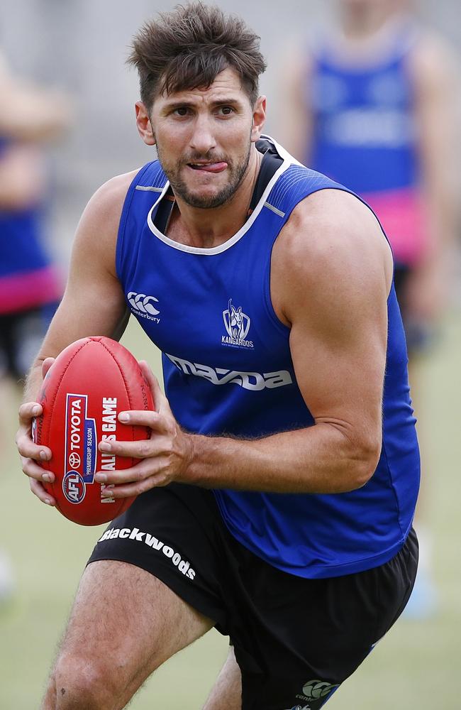 Jarrad Waite will form a dangerous partnership with Drew Petrie up forward for North Melbourne. Picture: Wayne Ludbey