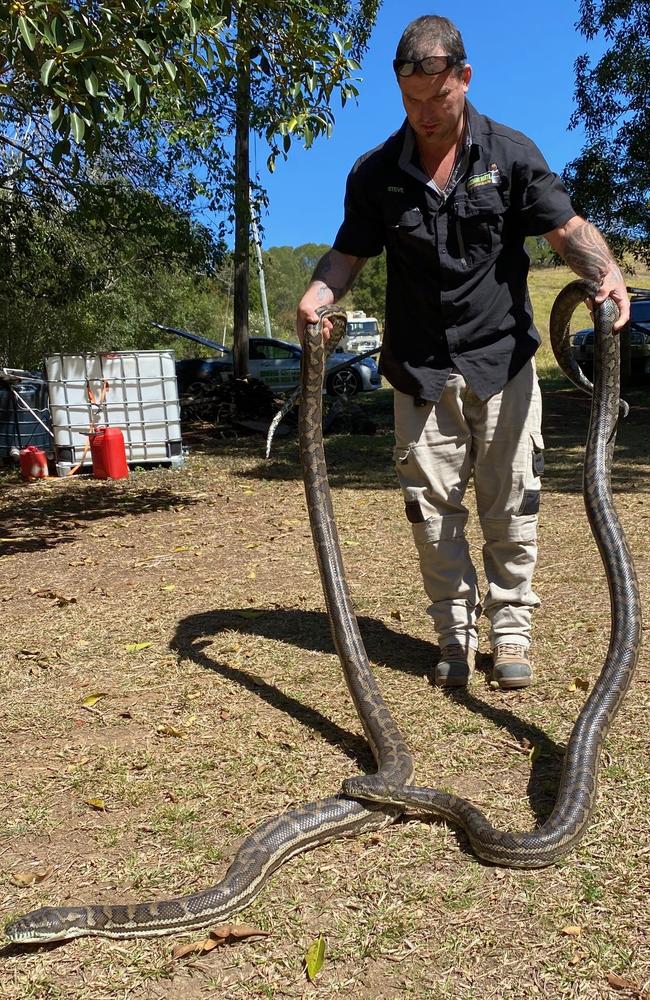 Steven Brown with the snakes.