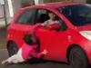 Watch: Terrifying moment meth addict drags, runs over grandma