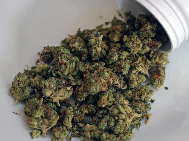 SYDNEY, AUSTRALIA - NewsWire Photos - NOVEMBER 10, 2023: General generic editorial stock image of medical medicinal cannabis marijuana weed. Picture: NCA NewsWire