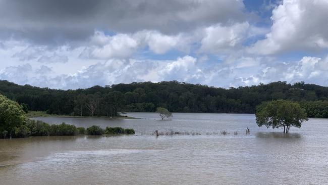 A photo taken of the proposed sewerage plant site looking east towards Rocky Passage Rd. Picture: Ken Thomas.