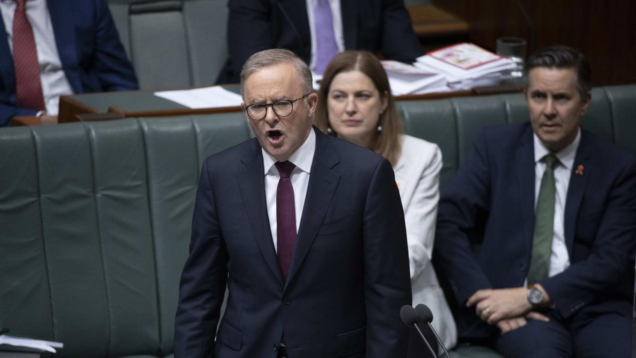 Mr Albanese celebrated after the laws were passed. Picture: NCA NewsWire / Gary Ramage