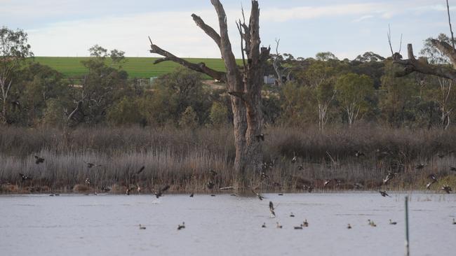 The Coalition still needs to make good on its 2013 election promise to establish a fully transparent, and public, register of who owns what – including critical assets like water. Picture: supplied