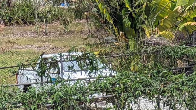 A council car parked at the Nerang kennel on Thursday.