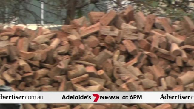 The Advertiser, 7NEWS Adelaide: Elizabeth South accident, Algal bloom protest