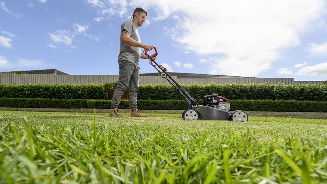 Don’t mow too low and make sure your lawn is well fed so it can better resist hot conditions. Picture: Victa