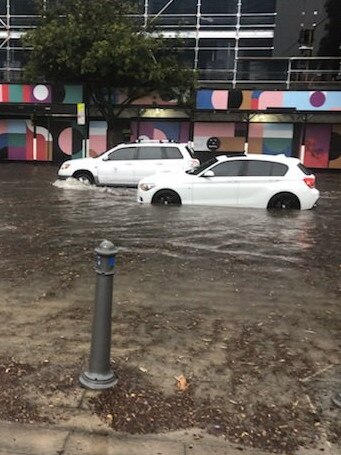 Cars navigate the floods at Glebe.