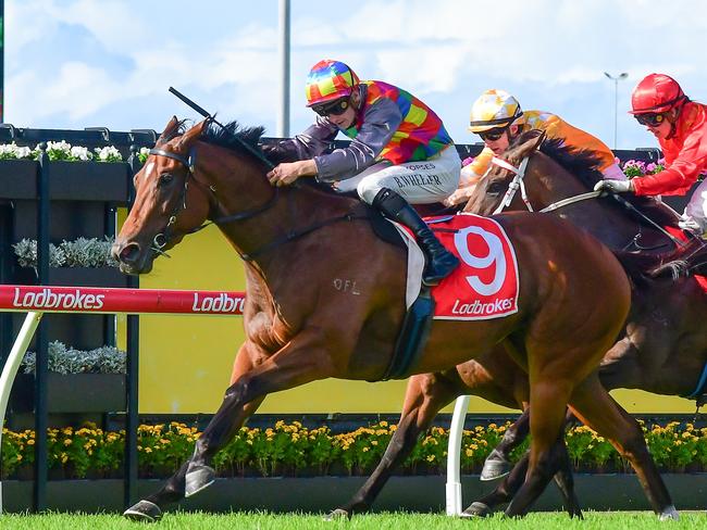 Tiger Shark upsets her rivals to lead all the way in the Listed Mick Dittman Plate at Eagle Farm for trainer Nat McCall and jockey Bailey Wheeler. Picture: Grant Peters - Trackside Photography.