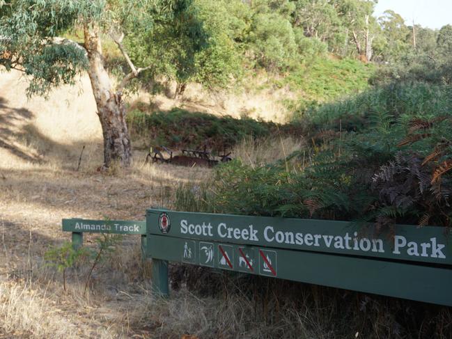 Scott Creek reopens after devastating fire