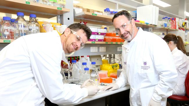 Associate Professor Keith Chappell and Professor Trent Munro get to work on the first Covid-19 vaccine candidate. Picture: Steve Pohlner.