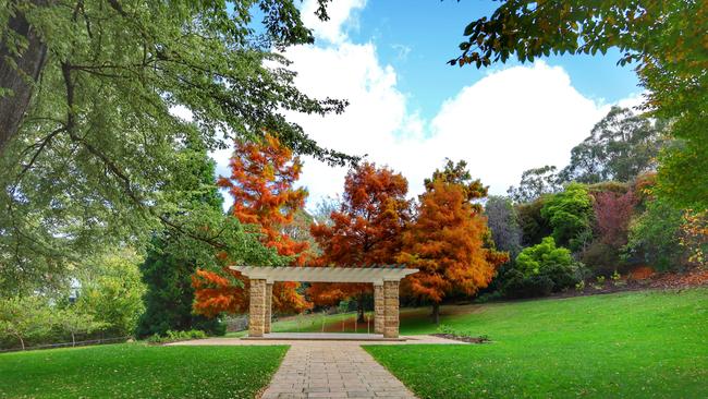 Autumn colours at Fitzroy Gardens. Picture: Kelvin Ball. Your Focus on Tasmania **ONE TIME USE ONLY**