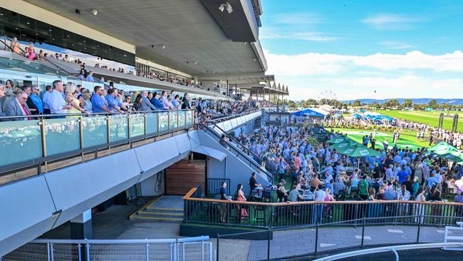 About 200 new houses could be built across the road from Morphettville Racecourse. Picture: NCA NewsWire / Brenton Edwards