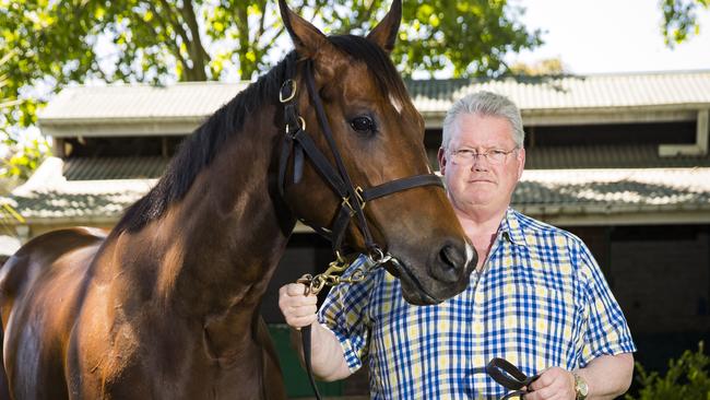 Trainer Anthony Cummings has Libertini in peak condition for The Everest. Picture: Dylan Robinson