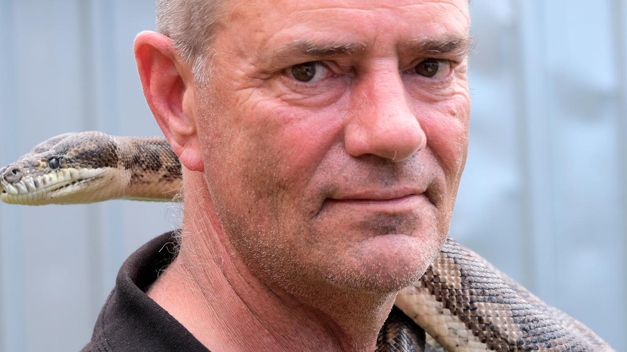 Geelong snakes which suburbs are hotspots for the reptiles  Herald Sun