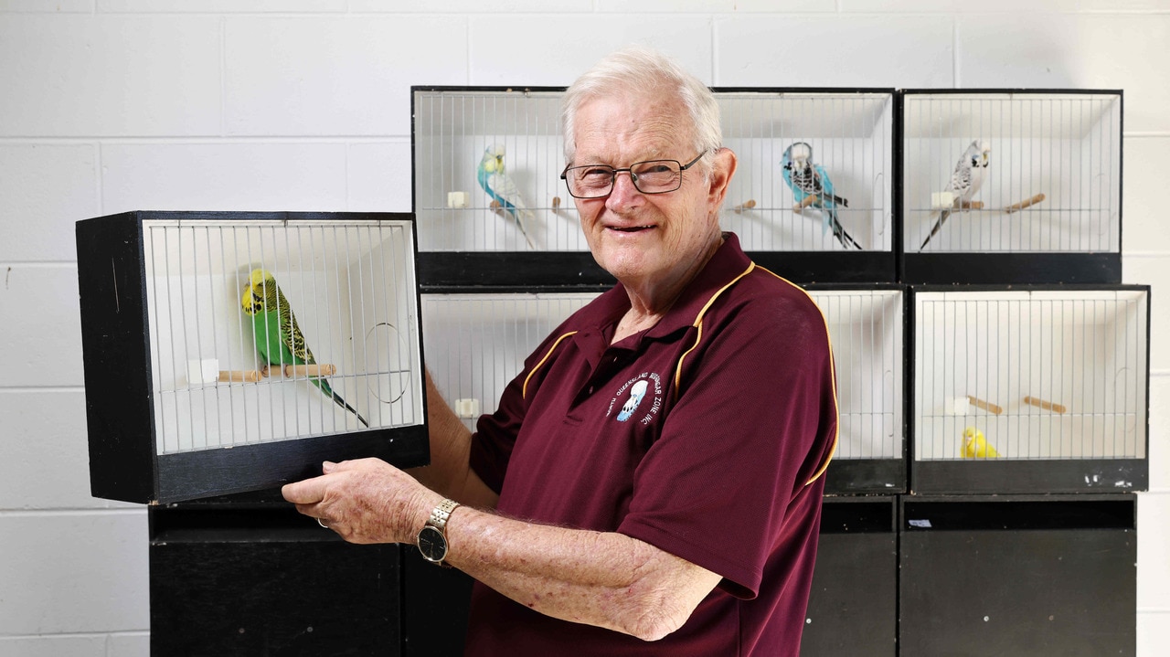 Australian National Budgerigar Championship Show