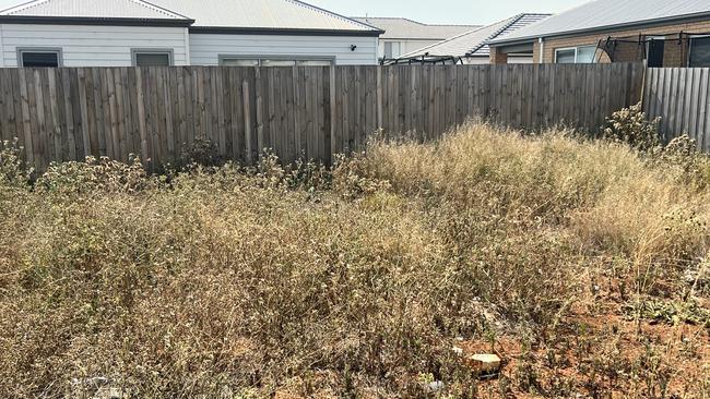 Overgrown weeds on an Apex Homes site.