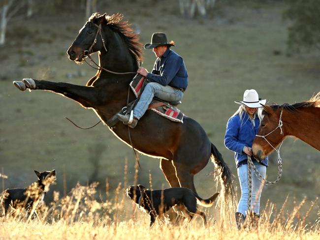 Greg Powell is a genuine horse-whisperer, according to actor Jack Thompson.