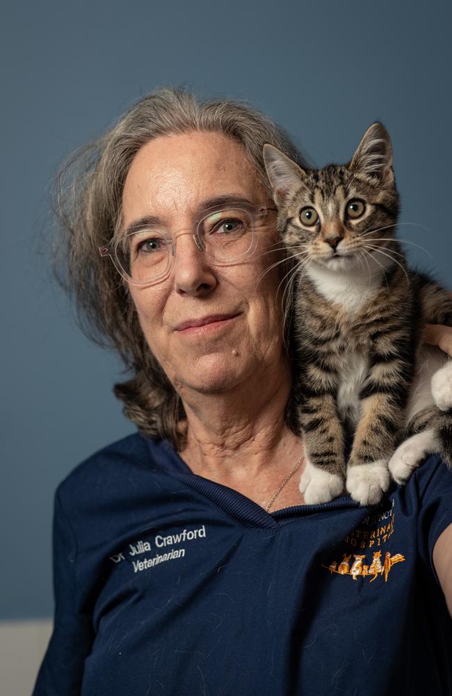 Dr Julia Crawford with Lucas at Bondi Junction Veterinary Hospital. Picture: Julian Andrews