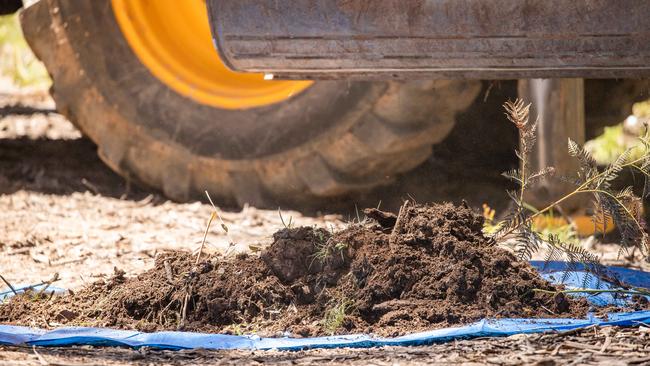 The search involves a meticulous hunt for clues at the bush site. Picture: Jason Edwards