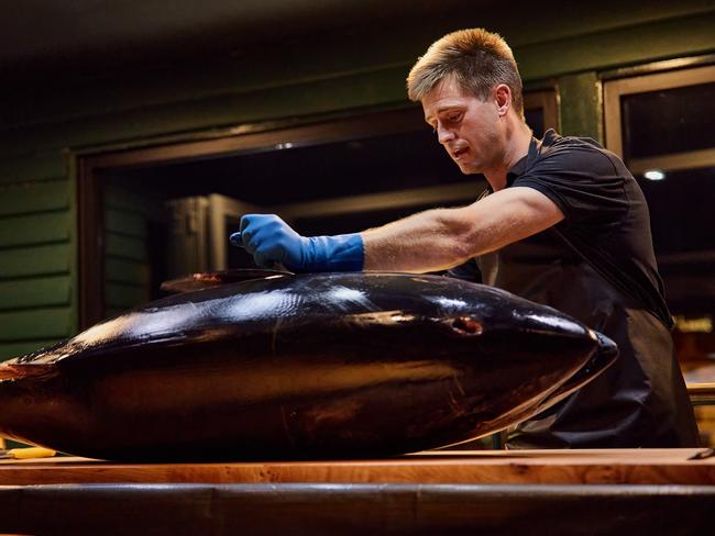 Jock Mure carves up an 80kg Southern bluefin tuna at Mures Upper Deck to prepare the tuna for a special four-course degustation dinner _ during a special carving ceremony. Picture SUPPLIED by Mures restaurant MUST CREDIT Samuel Shelley
