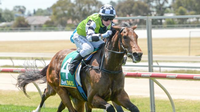 Kings Valley could return to winning form when the Chris Waller-trained import competes at Thursday's Caulfield Heath meeting. Picture: Racing Photos