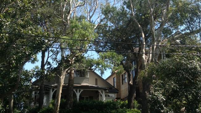 A River Red Gum in the front garden of the former home of playwright Patrick White at Centennial Park. A revaluation of trees in Centennial Park has seen these biological assets rise from more than $204 million in 2022 to more than $295 million.