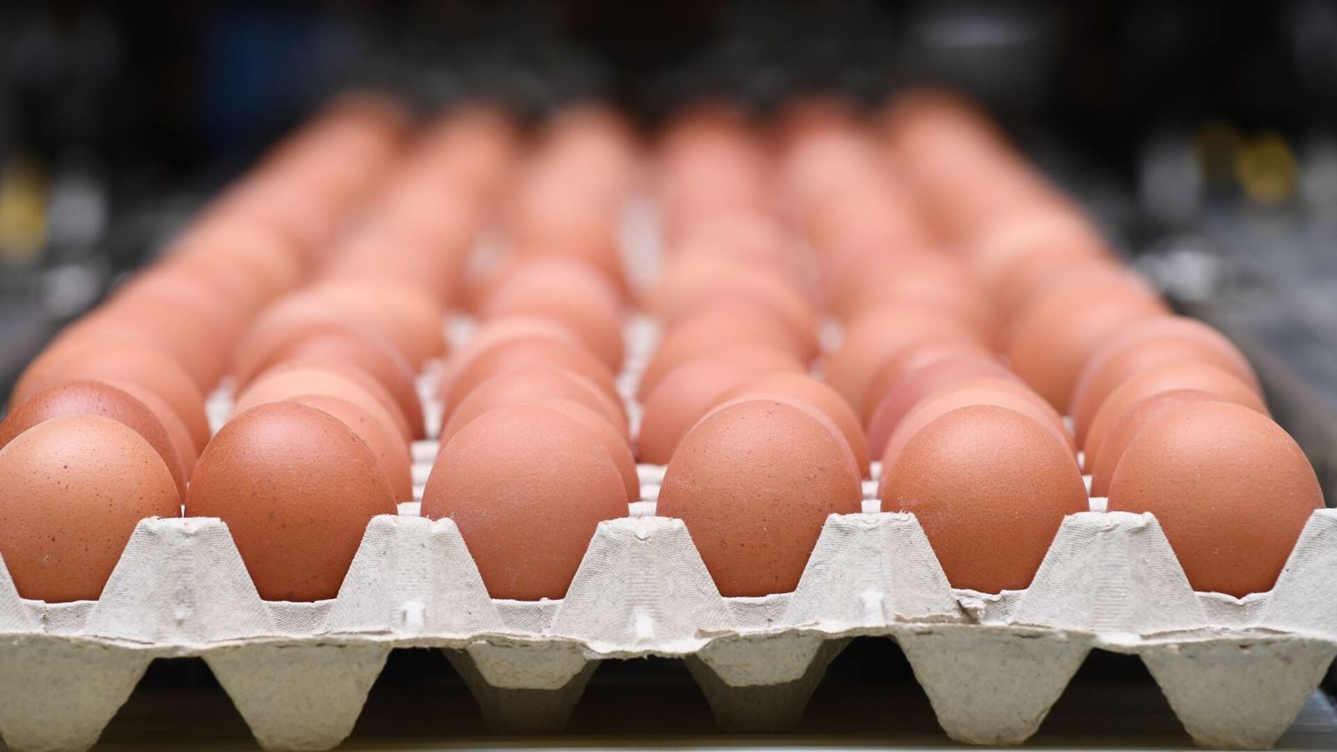 Coles to keep egg purchase limit amid latest outbreak of bird flu