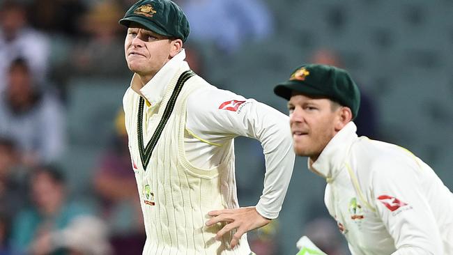 Steve Smith is out and Tim Paine has rejoined the list after captaining Australia in the final Test against South Africa.