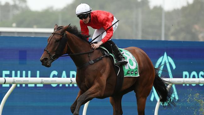 SYDNEY, AUSTRALIA - NOVEMBER 02: Zac Lloyd riding Kingston Charm wins Race 5 Four Pillars Midway during Golden Eagle Day at Rosehill Gardens on November 02, 2024 in Sydney, Australia. (Photo by Jeremy Ng/Getty Images)