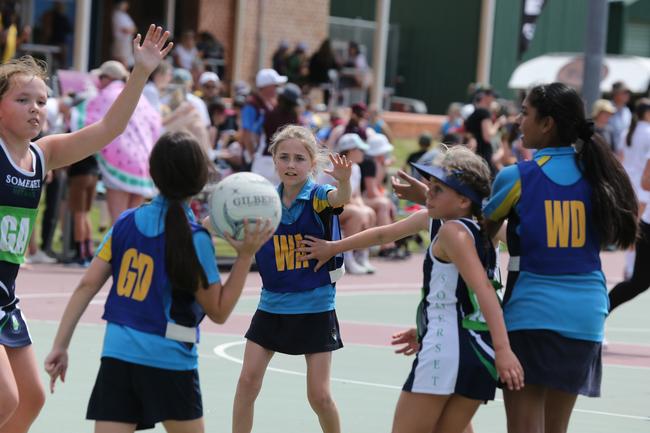 The Netball Qld Primary Schools Cup grand finals are being held at the Hinterland District Netball Association at Mudgeeraba. Picture: Mike Batterham.