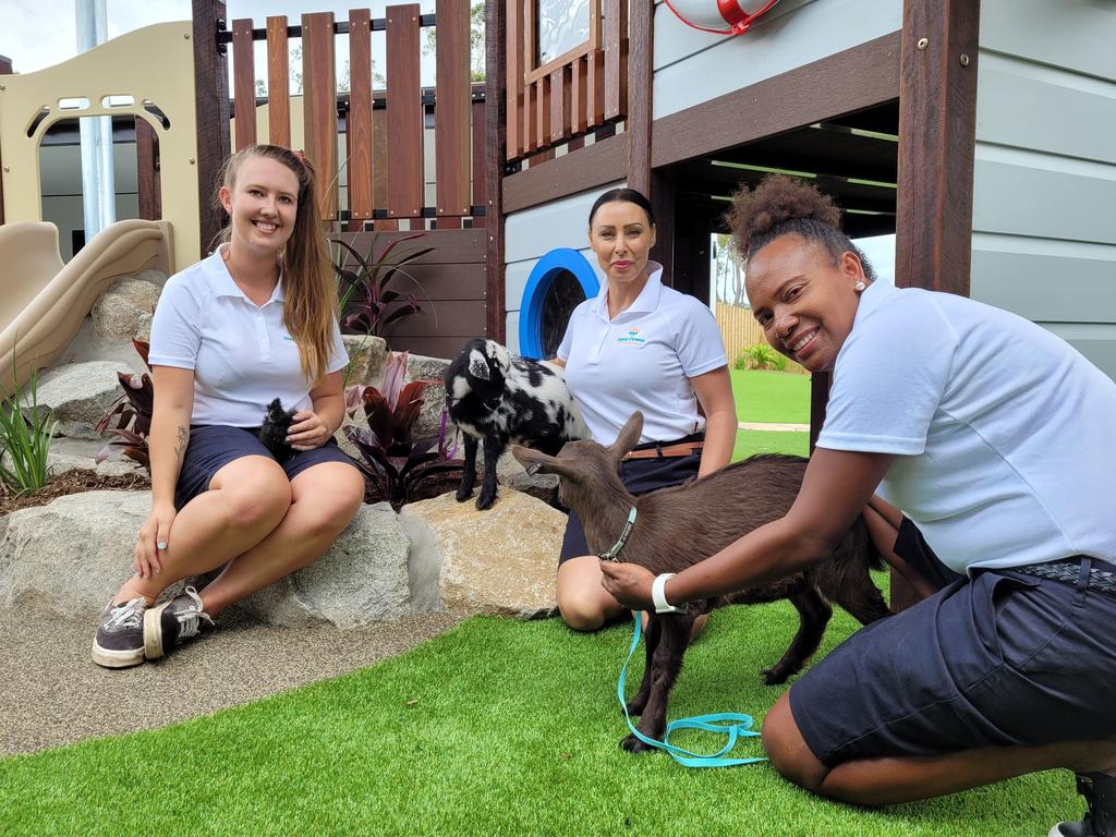 se tv jomfru ensom Sunshine Coast childcare centre opens at Sippy Downs with animals to play  with | The Courier Mail