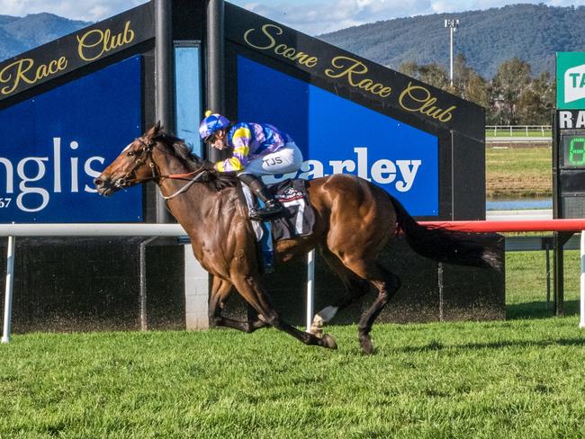 Scone races. Race 8, Bring The Ransom. Bjorn Baker, jockey Tyler Schiller. Picture Katrina Partridge.