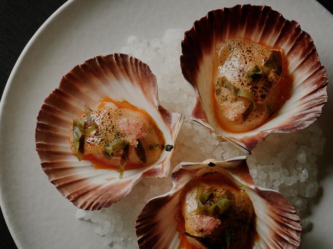 Flinders Island scallop, brown butter, finger lime. Photo: Kristoffer Paulsen/Supplied