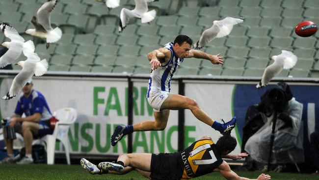 Seagulls, opposition players ... Boomer has never been one to let anything get in his way.