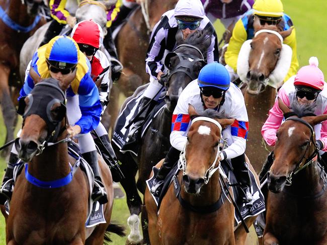 Alart ridden by Greg Ryan (pale lilac and black striped sleeves) rounds the bend to win race 7 during the races at Rosehill Gardens. pic Jenny Evans