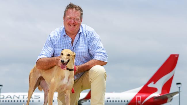 Daily Telegraph. 11, January, 2024.GRNSW CEO boss Rob Macaulay with Ginger at Sydney Airport, today. Ginger is the 500th greyhound bound for the USA.Picture: Justin Lloyd.