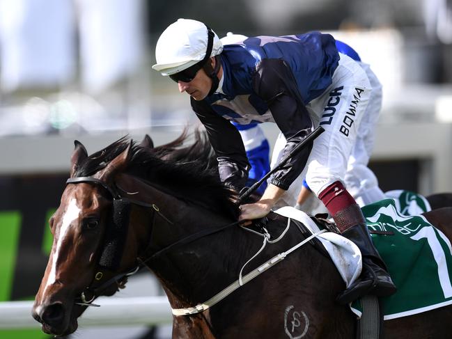 Jockey Hugh Bowman rides Salsonic to win race 5, the Queensland Guineas, during Stradbroke Day at Doomben racecourse in Brisbane, Saturday, June 10, 2017. (AAP Image/Dan Peled) NO ARCHIVING, EDITORIAL USE ONLY