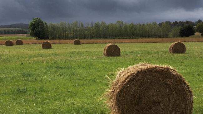 Run for cover: Persistent rain is putting hay growers to the test.