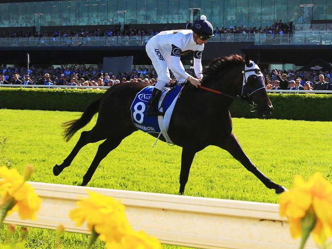 Yankee Rose ridden by Zac Purton wins race 6 the Inglis Sires during Day 1 of the Championships at Royal Randwick. pic Jenny Evans