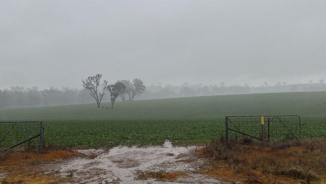 Rain across much of southern NSW and Victoria has delivered an early winter drenching in the face of El Nino predictions.