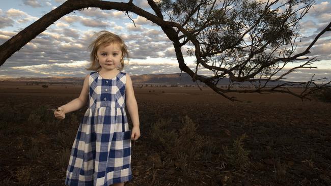 Lucy in the land that their family love. Picture: Brett Hartwig