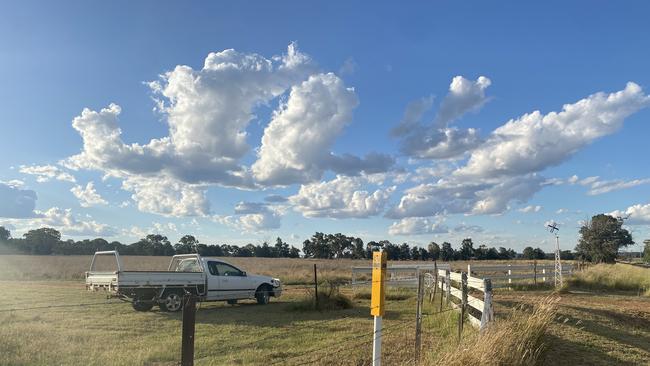 John Cohen's property on Bunglegumbie Road.