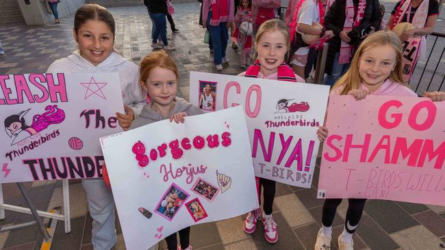 Fans at the Netball Grand Final Thunderbirds vs Vixens at the Entertainment Centre Picture: Ben Clark