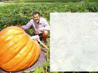 John Mills with his pumpkin in happier times, before the formidable fruit collapsed. . Picture: DAVID NIELSEN