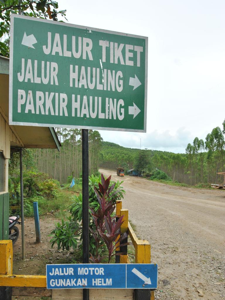 The hauling road for Industrial Plantation Forests in the Terunen area, owned by PT ITCI Hutani Manunggal (IHM), which is in the New Capital City Core area (IKN).