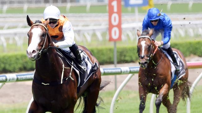Menari will start his spring campaign in the Rosebud.