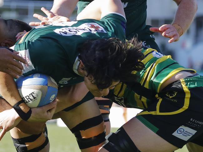 Amazing comeback, young guns quirky feat in Shute Shield semis