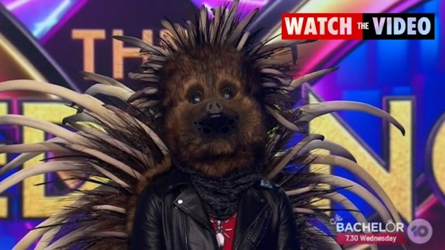 Who is the first Masked Singer to be revealed for 2020 hiding under the echidna mask?